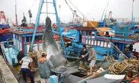 $3.4 mil support for fishermen in Quang Binh