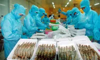 Vietnam seafood sales to EU surge