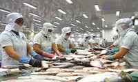 Vietnam complains to WTO about U.S fish tariffs