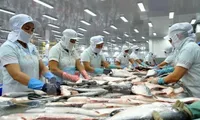 Vietnam's largest Tra fish importer