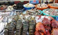 Vietnam eyes Middle East as potential market for seafood