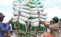 Enterprises promote rice exports through high quality products