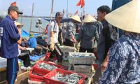 Measures to prevent illegal fishing