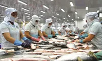 Vietnam's seafood sector successfully reverses U.S' anti-dumping duty