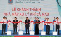 New gas processing plants inaugurated in Ca Mau