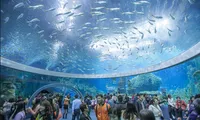 Marine life preservation at Vietnam's biggest oceanographic museum