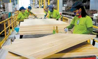 Opportunities for Vietnamese wood industry