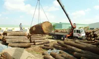 Vietnam enjoys trade surplus of wood products