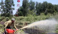 Prevention measures enhanced to handle forest fires