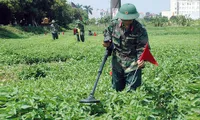 Bombs and mines remain in localities after the war