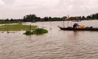 Flood waters bring hope and uneasiness to farmers in the Mekong Delta