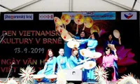 Vietnamese culture day held in Czech Republic