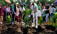 30,000 new trees to be planted across the country