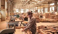 Strengthening control of origin of wood products