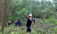 Double benefits from forests with FSC certification