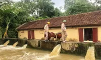 Japanese-funded project to help Ben Tre manage water resources