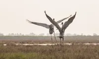 Photo exhibition calls for the need to protect nature