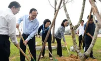 Over 100 thousand trees given to Binh Dinh