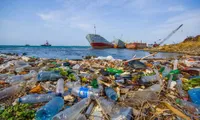 Regional dialogue on combating plastic pollution in the East Sea