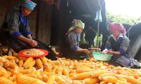 Vietnam focuses on sustainable poverty reduction