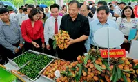 Thanh Ha Lychee Festival 2019 opens in Hai Duong