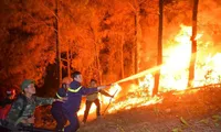 Three forests fires in one day in Ha Tinh