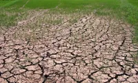 Drought hits central provinces in Vietnam