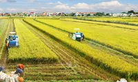 Vietnam faces challenges in agriculture