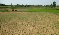 Drought leads to higher agricultural production costs