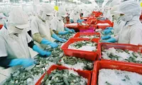 Vietnam's shrimp exports to EU to gain growth