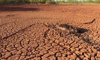 More abandoned land due to droughts