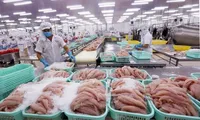 Vietnamese Tra fish  exports faces challenges