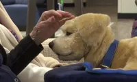 Meet the robot puppythat comforts Alzheimer's patients