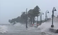 Tropical depression develops into typhoon Pabuk