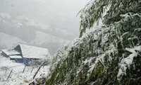 Extreme cold negatively affects mountainous areas