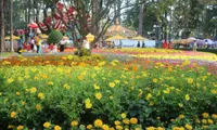 Spring Flower Festival dazzles Ho Chi Minh City