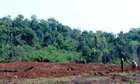 Community-based forest management the way forward