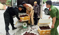 Deputy Prime Minister asks for investigation on red-claw crayfish