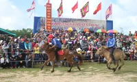 Thi Thung horse racing festival