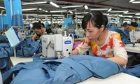 Action needed to return Vietnam to path of high growth