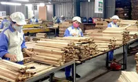 Timber, wood product exports reach US$9.64 billion in 11 months