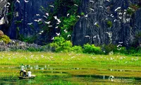 Exploring Van Long Wetland Nature Reserve in Ninh Binh