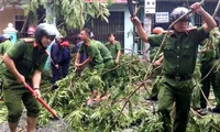 Prompt efforts urged to overcome aftermath of Tropical Storm Noul