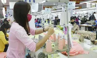 Number of newly established enterprises rises 18.4% in October