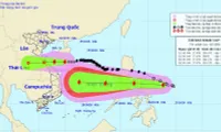 Eighth storm to hit provinces from Ha Tinh to Quang Tri in next 24 hours