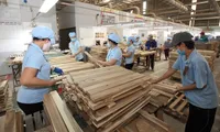 Vietnam’s timber and forestry exports reach US$11.7 billion