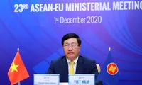 Deputy PM: Vietnam supports upgrade of ASEAN-EU ties to strategic partnership