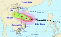 Typhoon Vamco with gusts up to 165km per hour, 390km from Da Nang - Hue coast