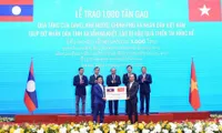 Vietnam presents rice to support Lao flood-hit people