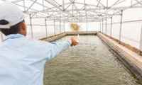 Photovoltaic application in aquaculture to be piloted in Mekong Delta